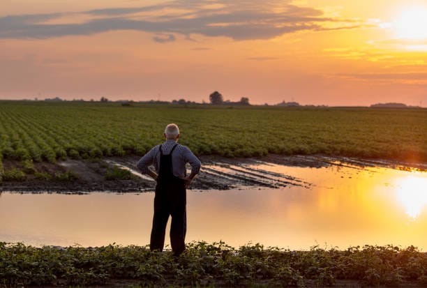 Fixing the Farm Crisis